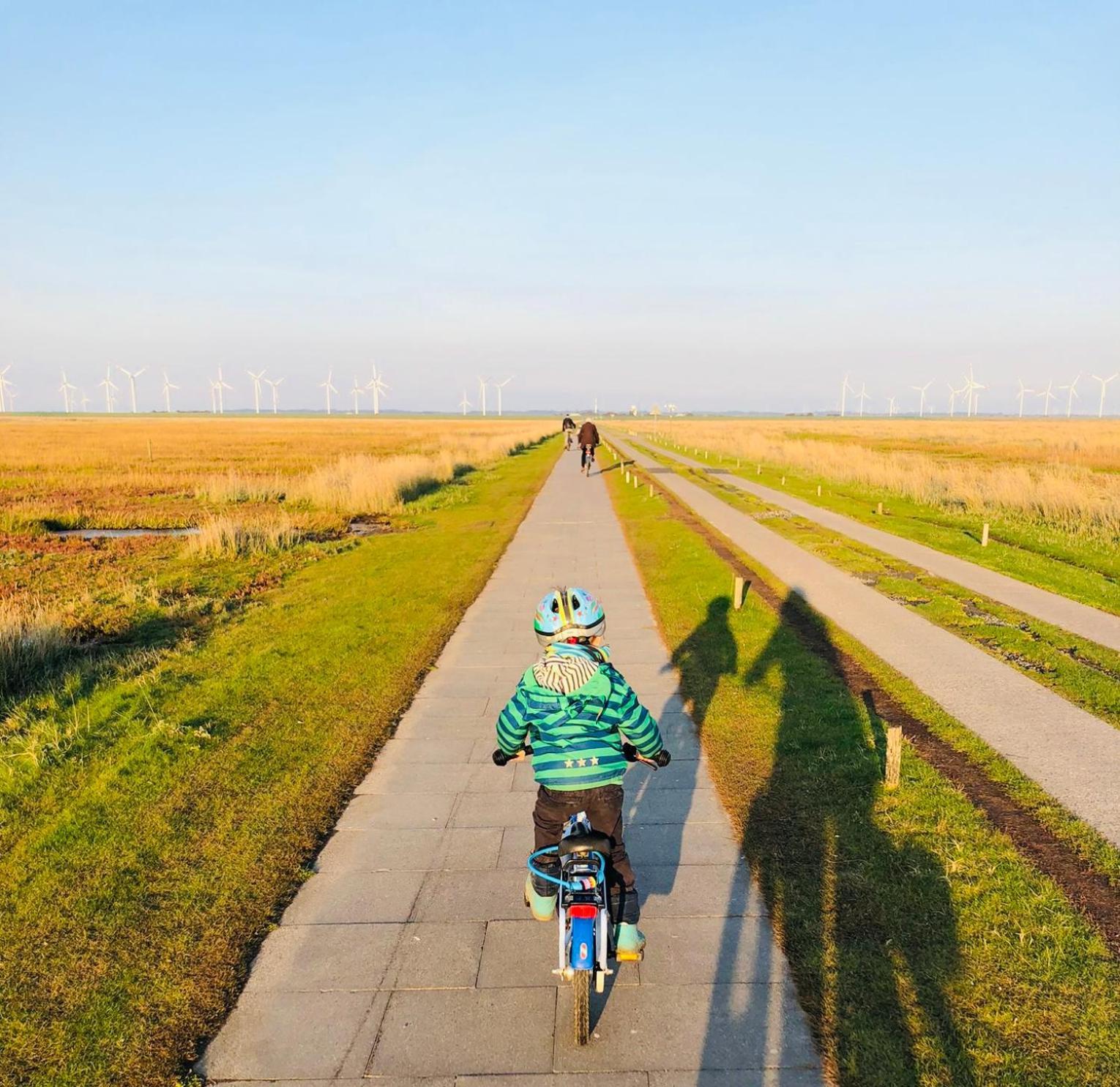 Nordsee Bauernhof Familie Wulff Fewo "Suedfall" Reußenköge 外观 照片